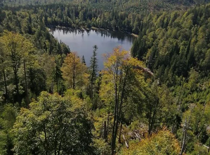 Prázdninový dům Haus Melanie Hohenau